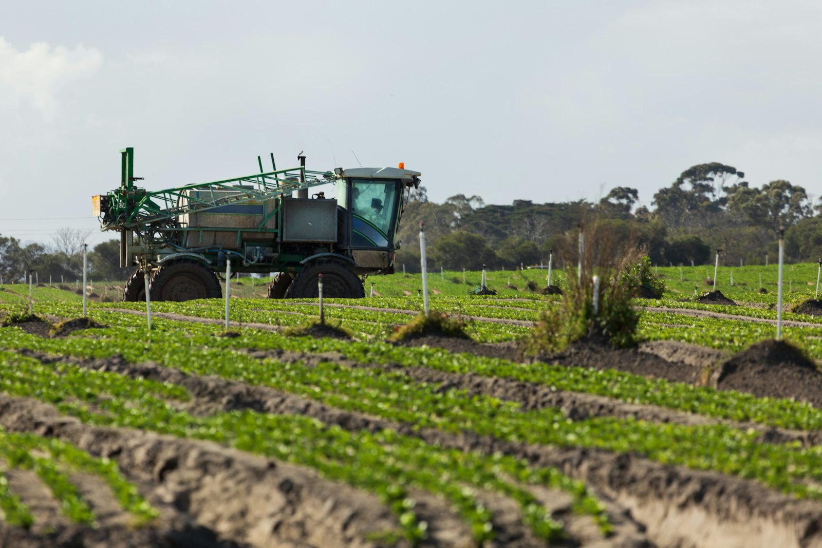 Agricultural sprayer applying herbicide in a field, illustrating a paraquat lawsuit over Parkinson’s disease risk