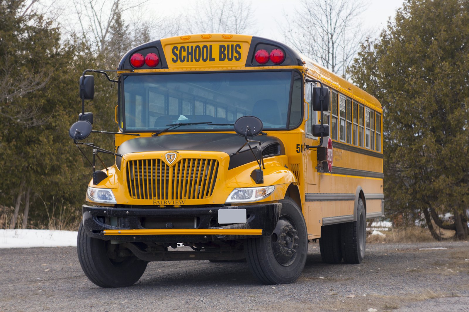 Yellow school bus on a road, illustrating the 2026 school bus safety recall